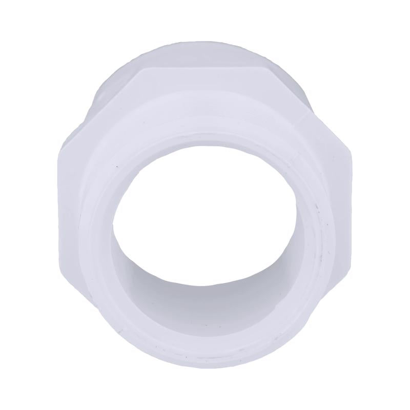 Charlotte Pipe Schedule 40 1-1/4 in. Slip X 1-1/4 in. D MPT PVC Pipe Adapter 1 pk, Pack of 25