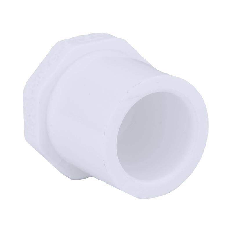 Charlotte Pipe Schedule 40 1/2 in. Spigot X 1/2 in. D Slip PVC Plug 1 pk, Pack of 50