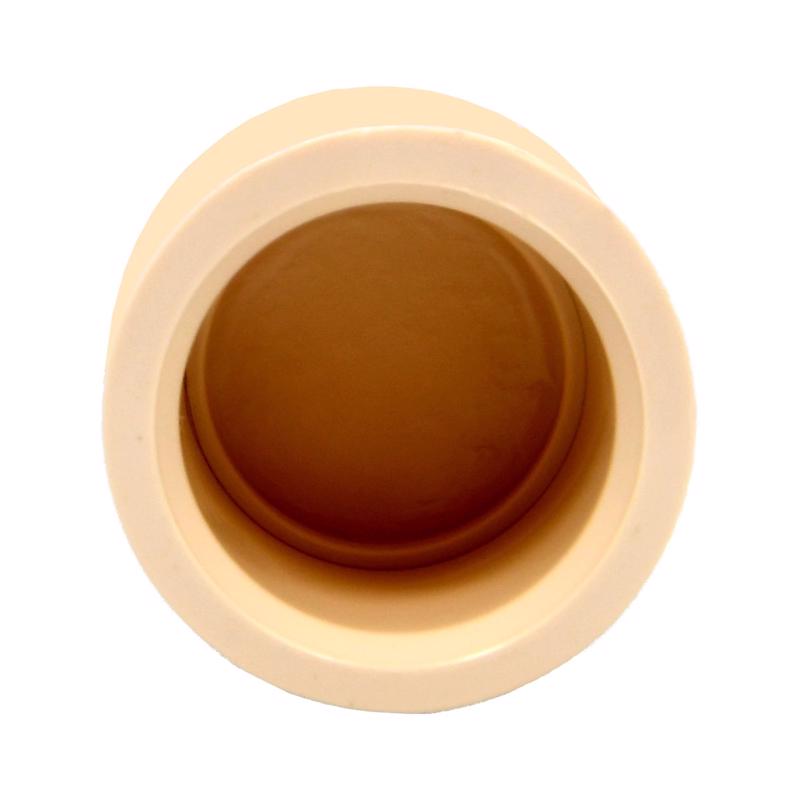 Charlotte Pipe FlowGuard 1/2 in. Slip CPVC Drain Cap 10 pk