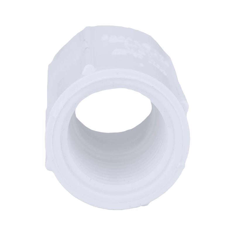 Charlotte Pipe Schedule 40 1/2 in. FPT X 1/2 in. D FPT PVC Coupling 1 pk, Pack of 50