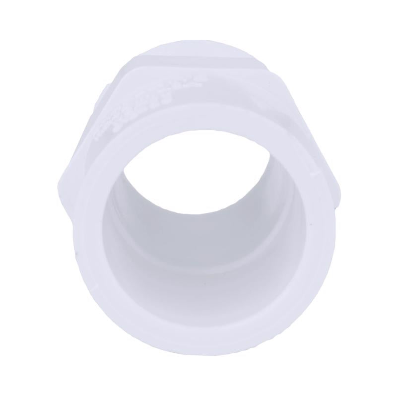Charlotte Pipe Schedule 40 3/4 in. MPT X 1/2 in. D Slip PVC Pipe Adapter 1 pk, Pack of 25