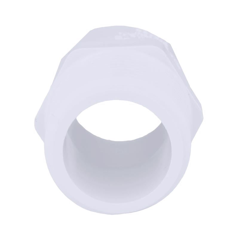 Charlotte Pipe Schedule 40 3/4 in. MPT X 1/2 in. D Slip PVC Pipe Adapter 1 pk, Pack of 25