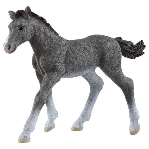 Schleich Trakehner Foal Figurine Gray 1 pc, Pack of 5
