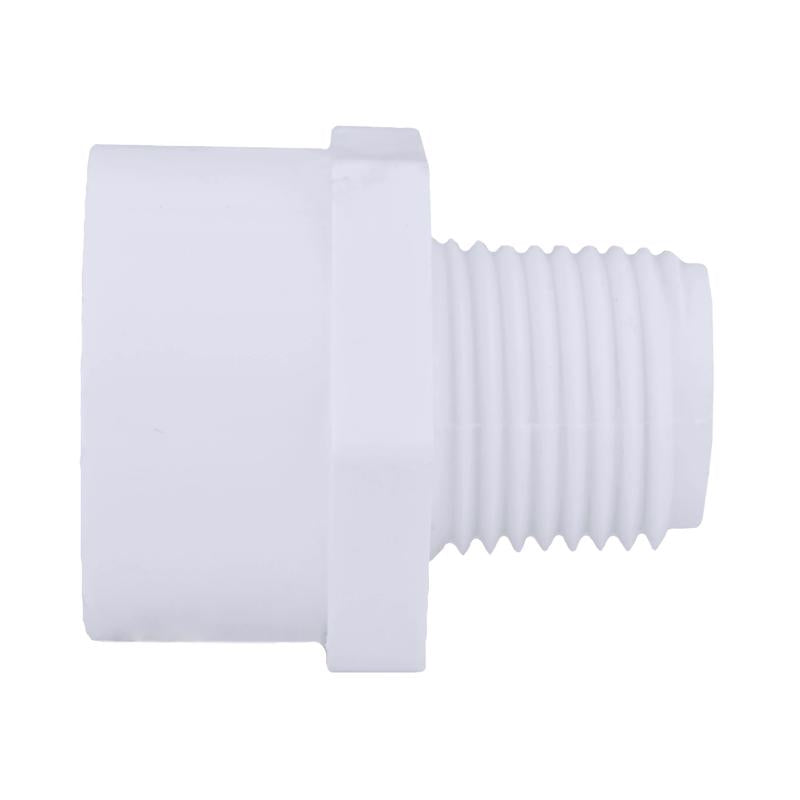 Charlotte Pipe Schedule 40 1/2 in. MPT X 3/4 in. D Slip PVC Pipe Adapter 1 pk, Pack of 25