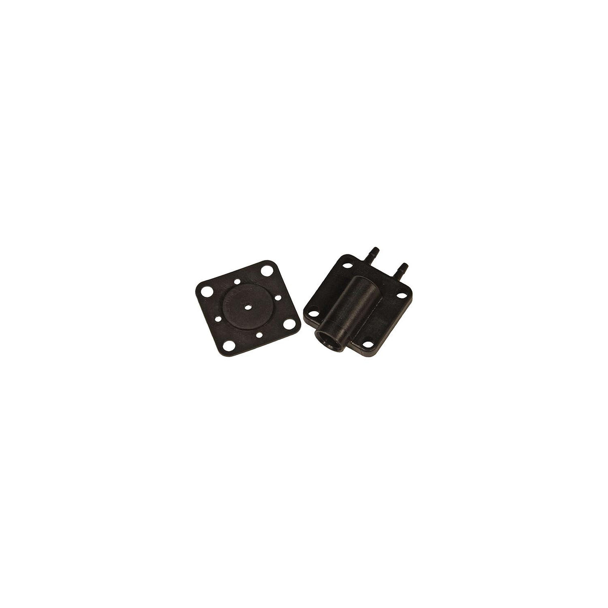 Cover & Gasket Assembly