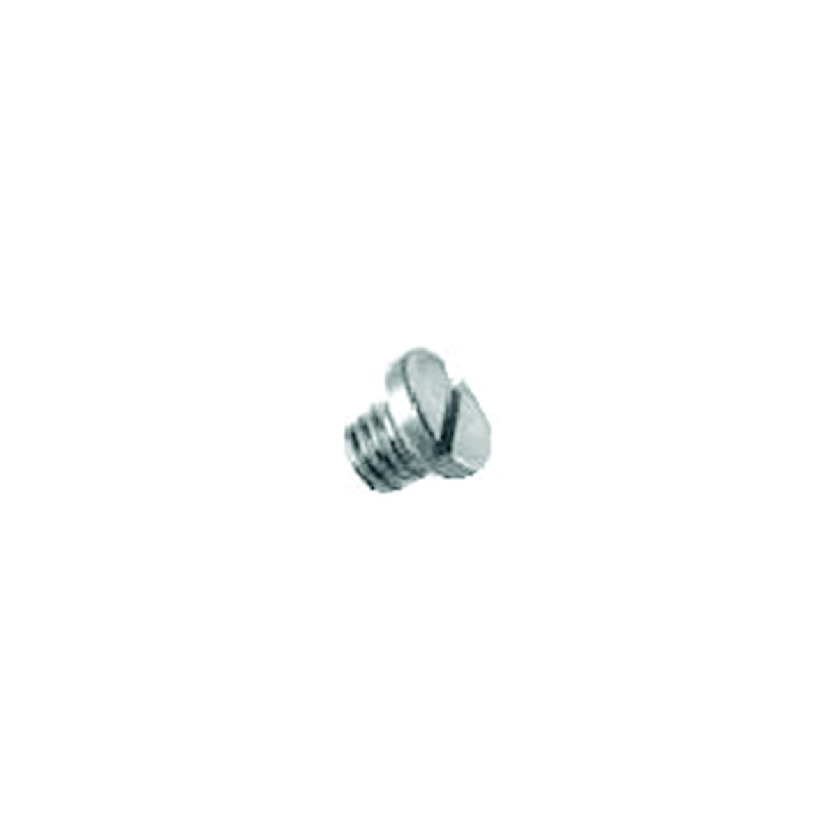 Oil Drain Screw