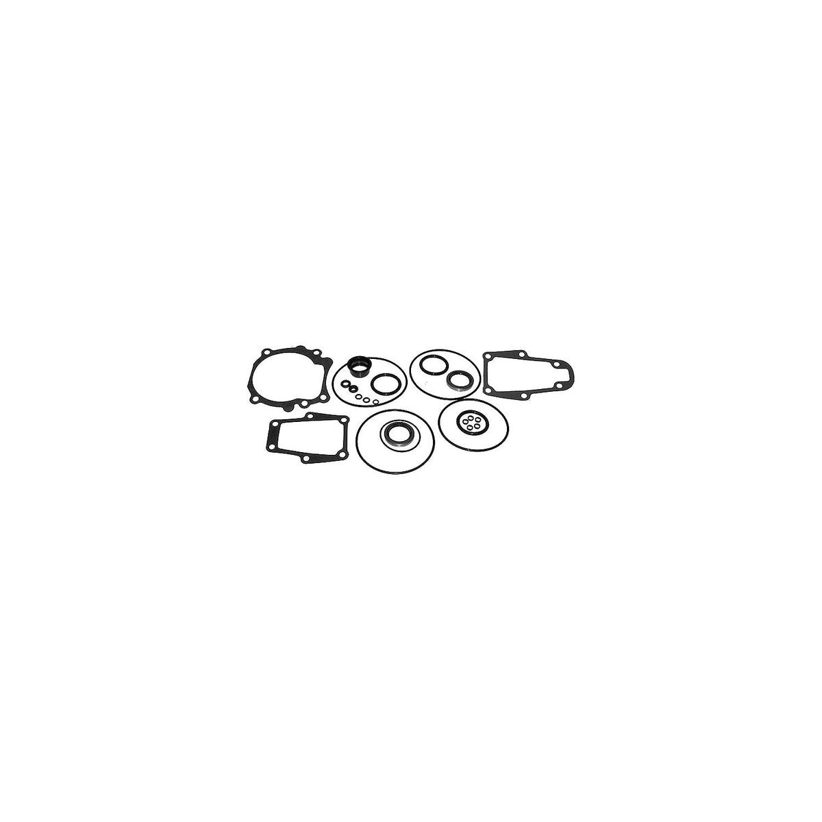 OM SEAL KIT OMC 984458