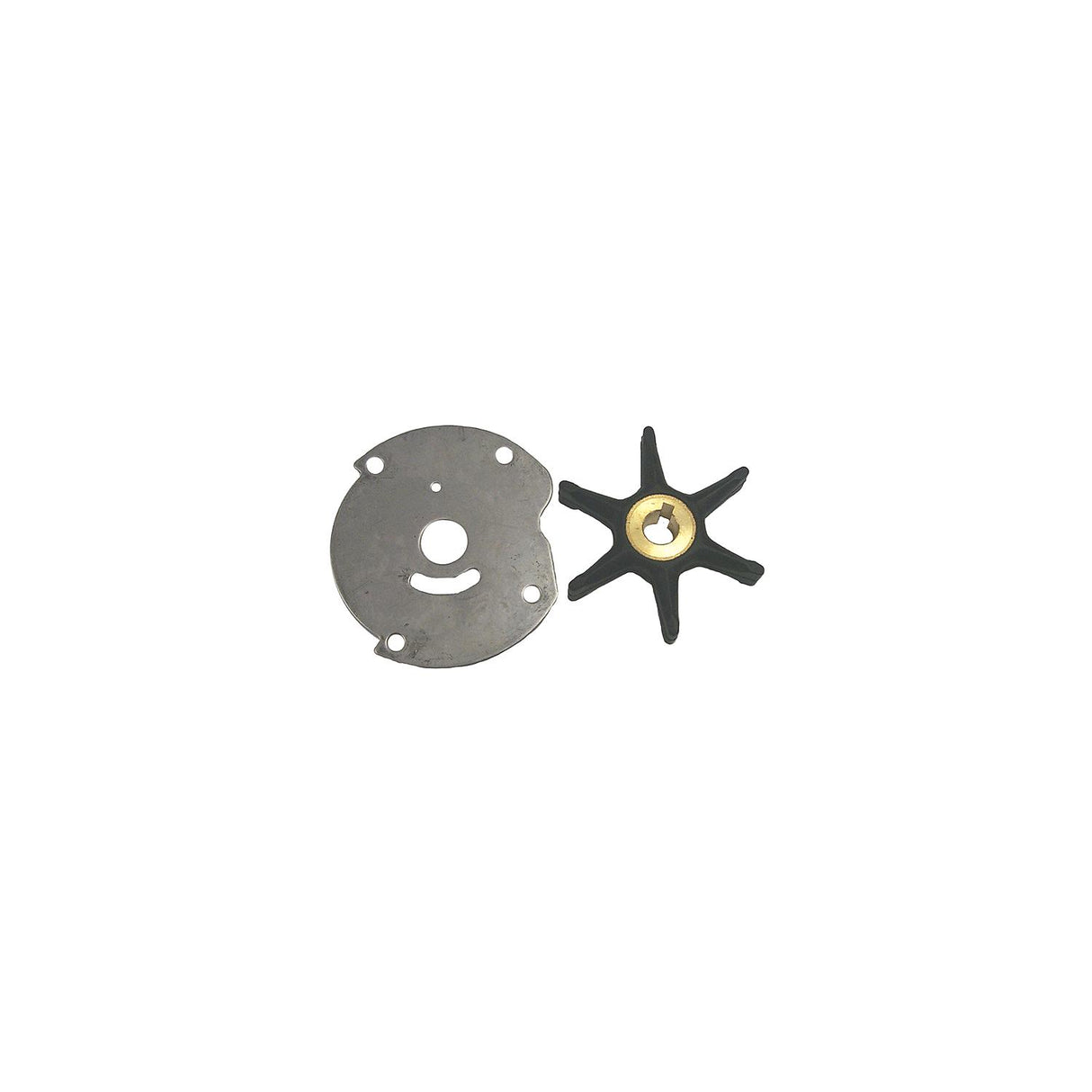 WATER PUMP KIT - OMC