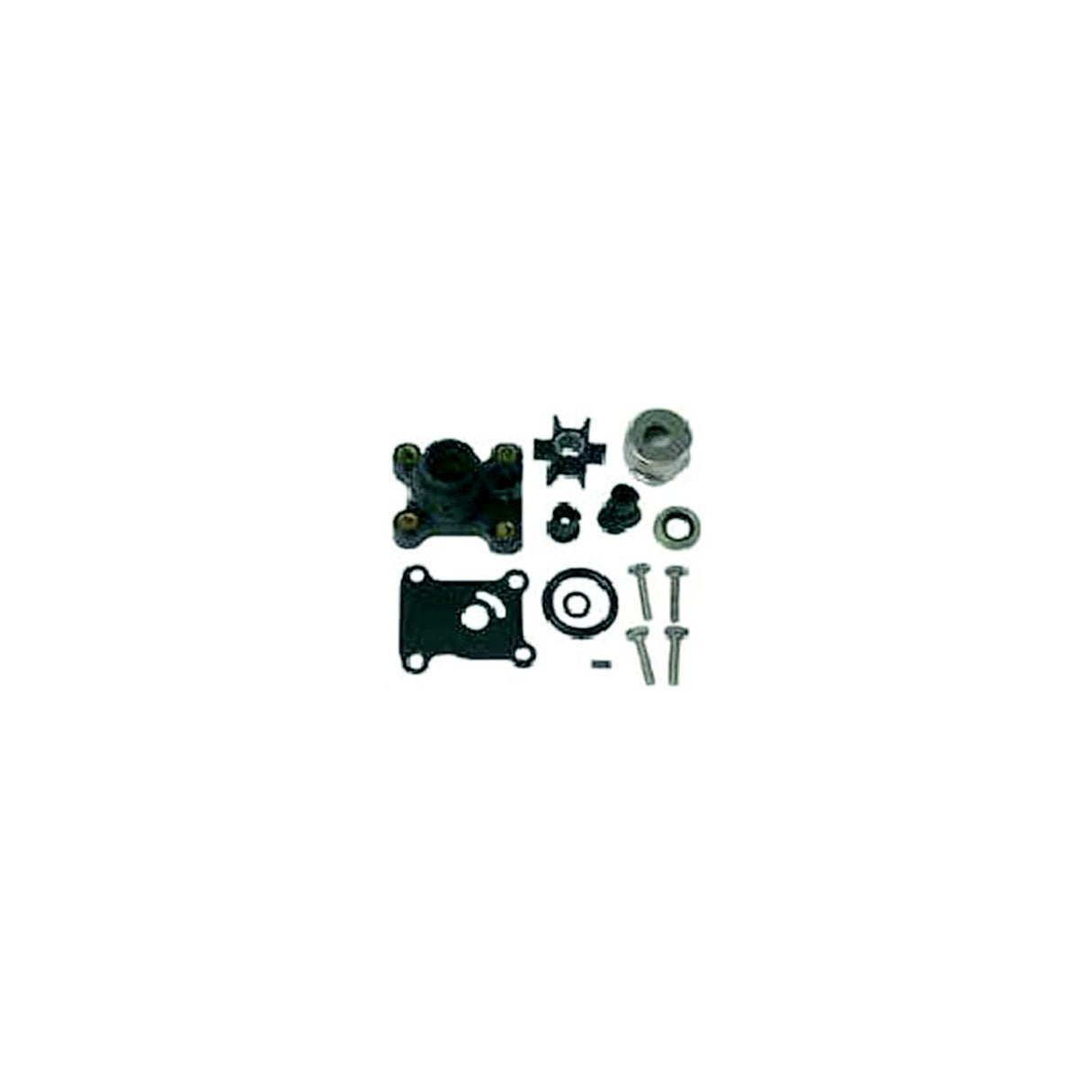 Water Pump Kit w/Housing