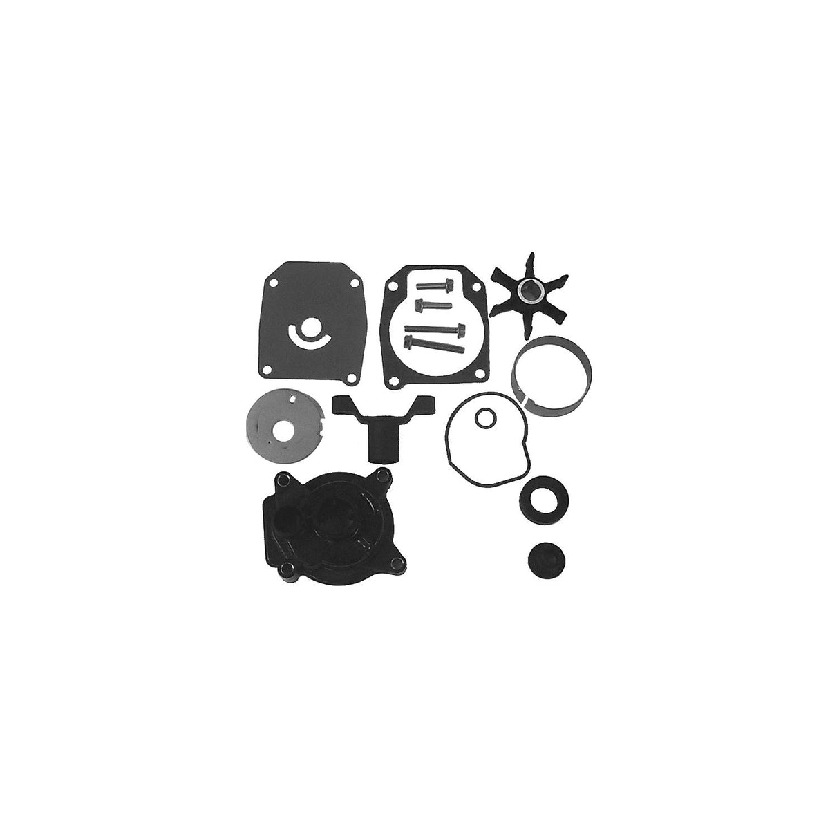 WATER PUMP KIT