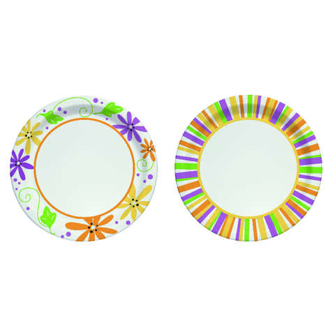 Solo Paper Mixed Garden Party Stripes and Flowers Design Plate 10 in. D 22 pk