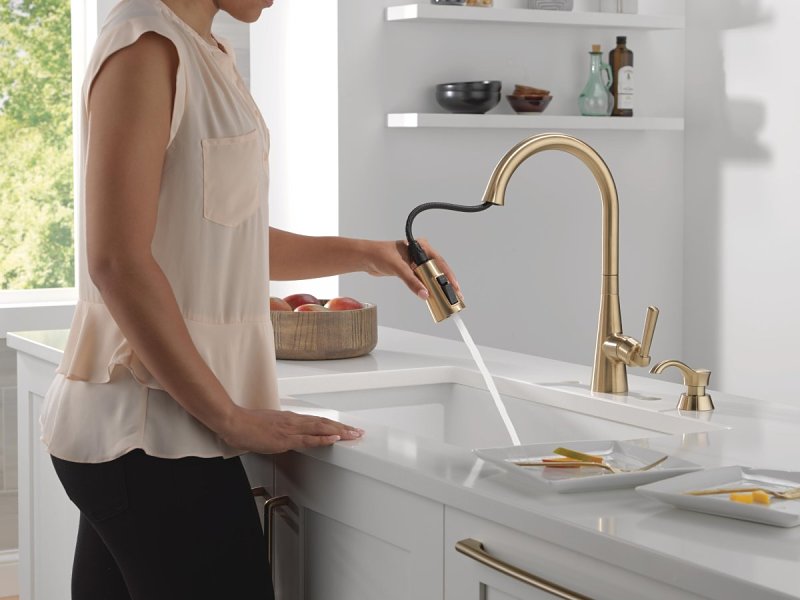 Delta Boyd Series 19893Z-CZSD-DST Pull-Down Kitchen Faucet with ShieldSpray Technology, 1.8 gpm, 1-Faucet Handle, Zinc