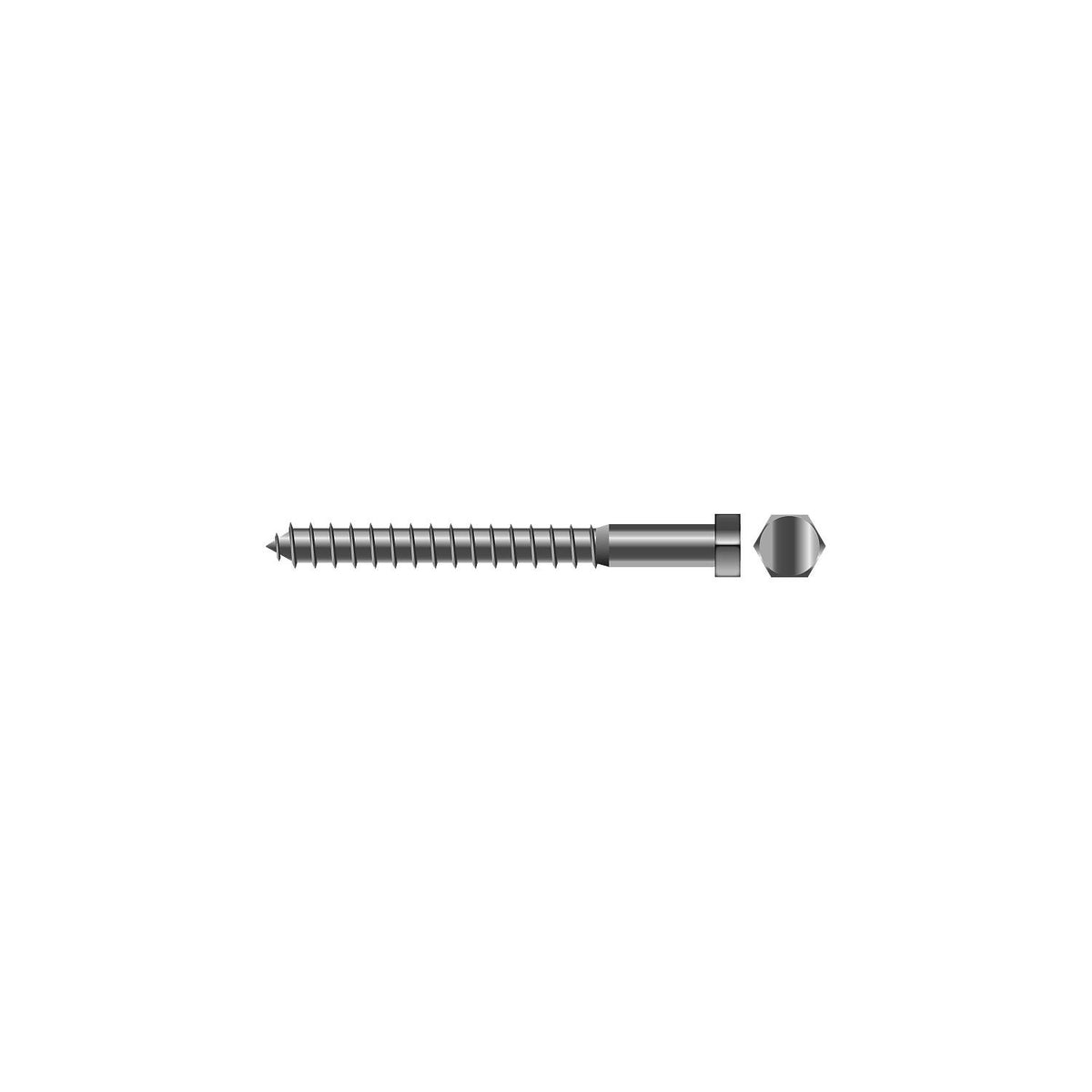 Lag Screw, 1/4 x 1″