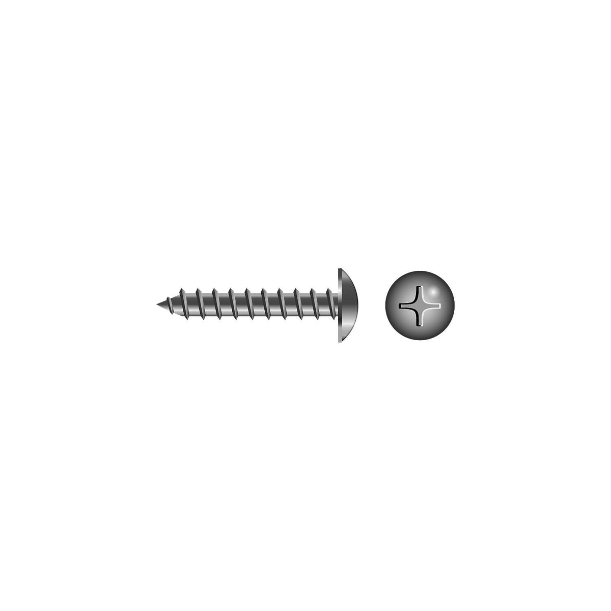 Phillips Tapping Screw - Truss Head#6 x 1/2″