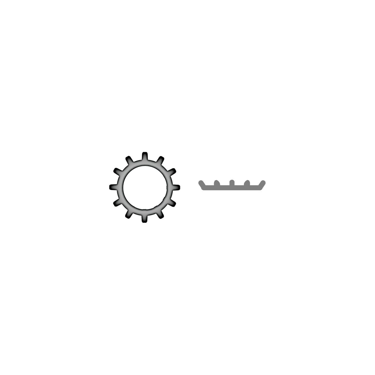 Stainless External Tooth Lock Washer #10