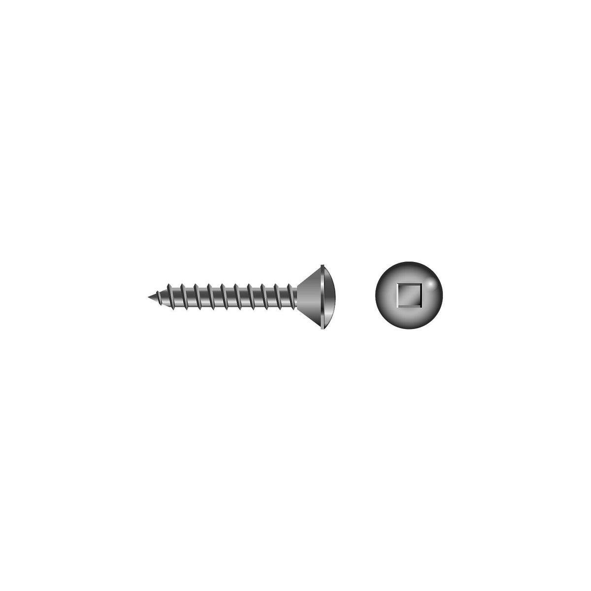 Square Tapping Screw - Oval Head #6 x 1/2″