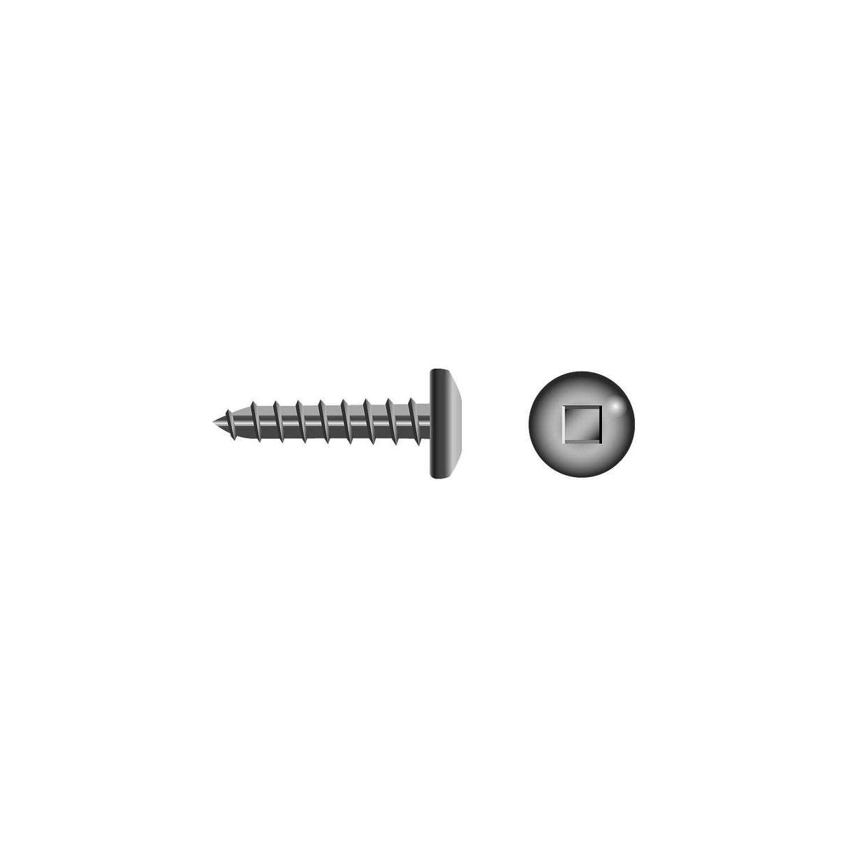 Square Tapping Screw - Pan Head, #6 x 1/2"