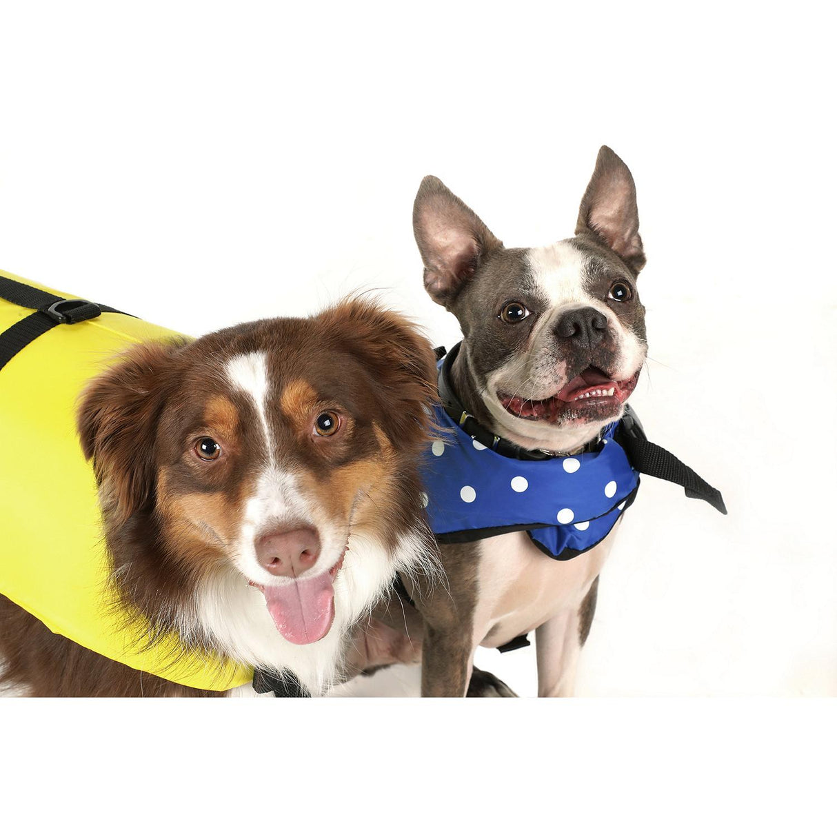 Seachoice 86260 Dog Life Vest - Blue Polka Dot, XXS