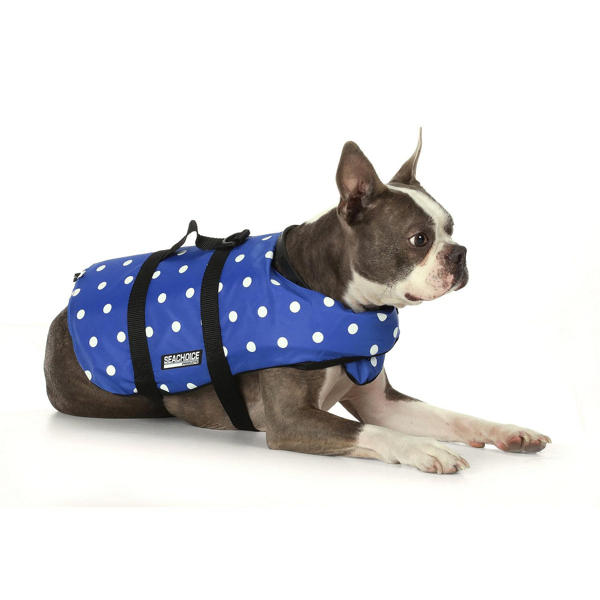Seachoice 86270 Dog Life Vest - Blue Polka Dot, XS