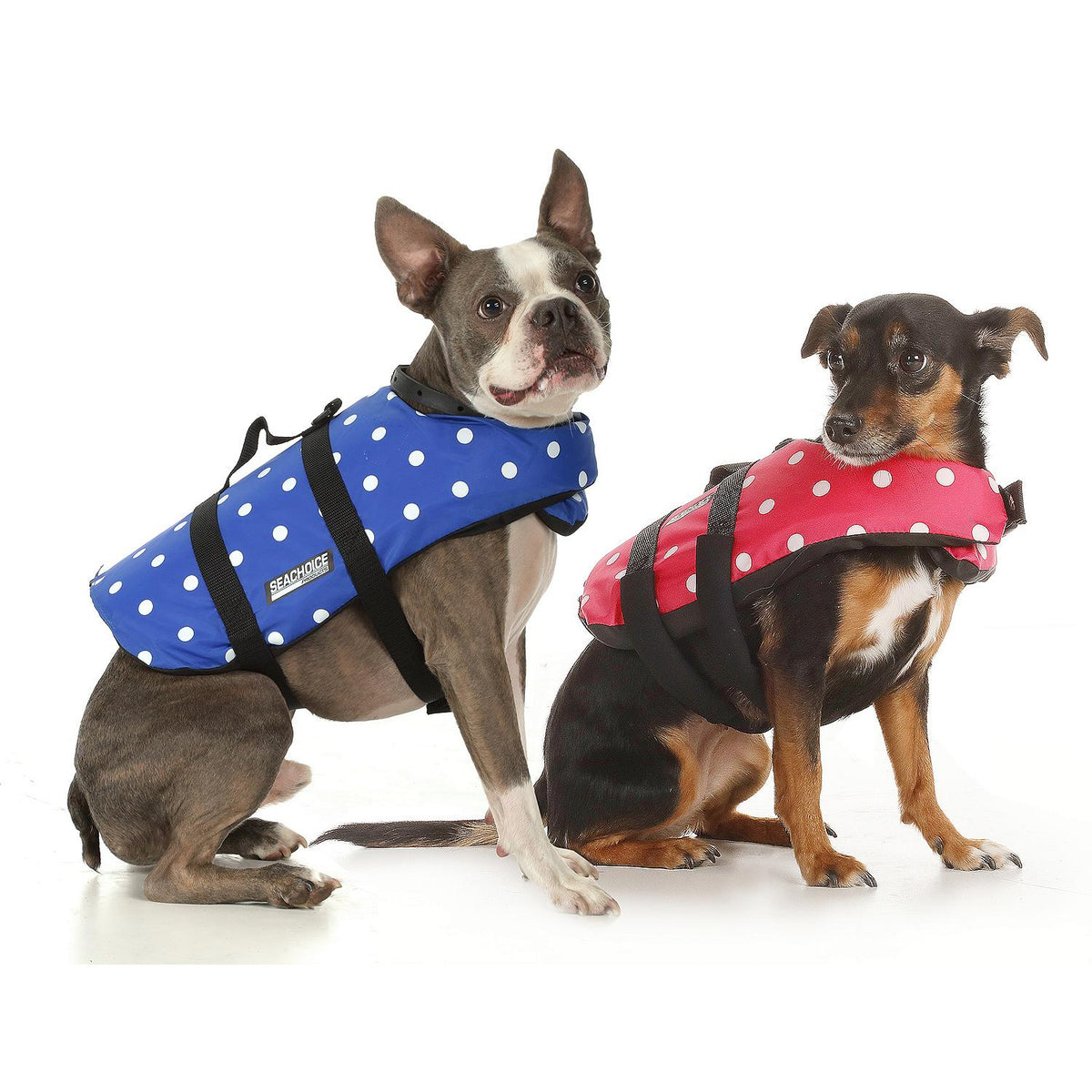 Seachoice 86270 Dog Life Vest - Blue Polka Dot, XS