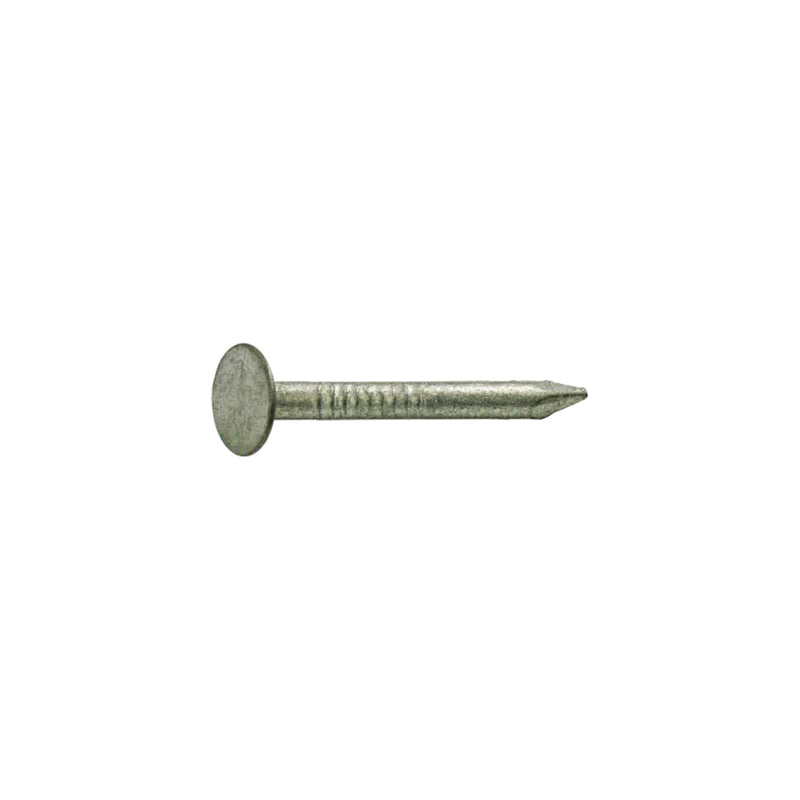 Grip-Rite 2-1/2 in. Roofing Hot-Dipped Galvanized Steel Nail Flat Head 1 lb, Pack of 12