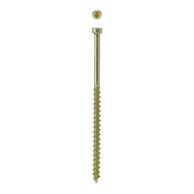 SPAX PowerTrim No. 8 in. X 3-1/8 in. L Star Round Head Serrated Trim Screws