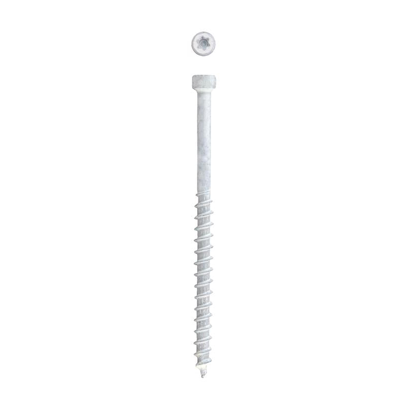 SPAX PowerTrim No. 8 Label X 2-1/2 in. L Star Trim Head Serrated Trim Screws