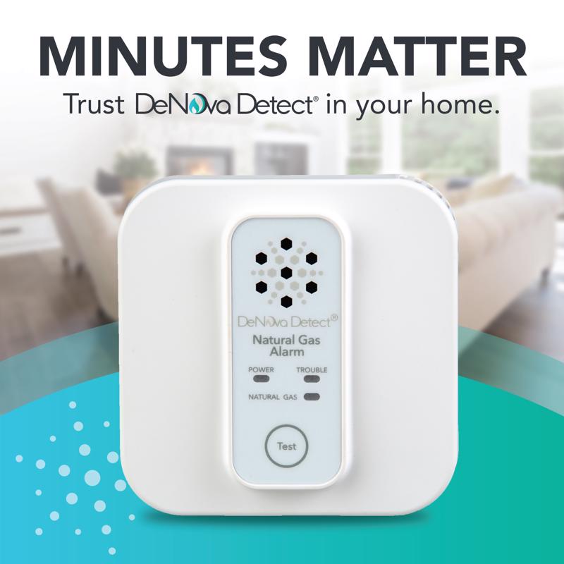 DeNova Detect 10-Year Battery-Powered MEMS Gas Alarm