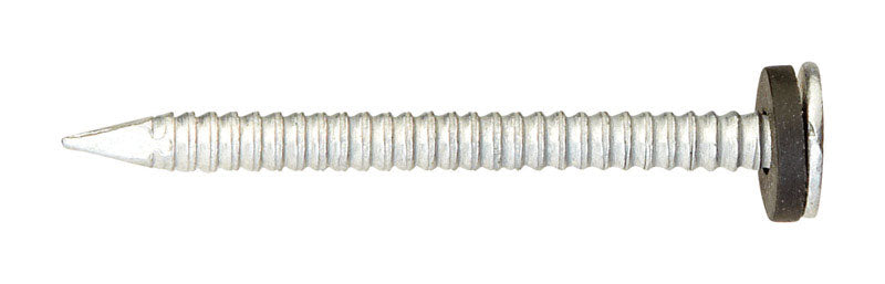 Ace 1-3/4 in. Roofing Galvanized Steel Nail Round Head 1 lb