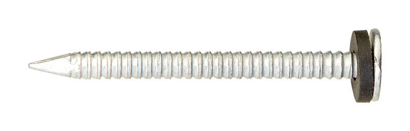 Ace 2 in. Roofing Galvanized Steel Nail Round Head 1 lb