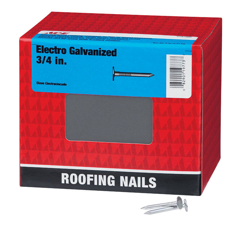 Ace 3/4 in. Roofing Electro-Galvanized Steel Nail Large Head 5 lb