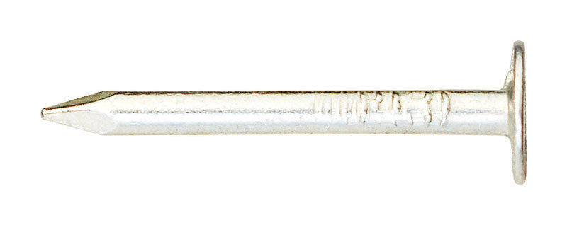 Ace 1-1/4 in. Roofing Electro-Galvanized Steel Nail Large Head 1 lb