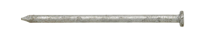 Ace 16D 3-1/2 in. Common Hot-Dipped Galvanized Steel Nail Flat Head 5 lb