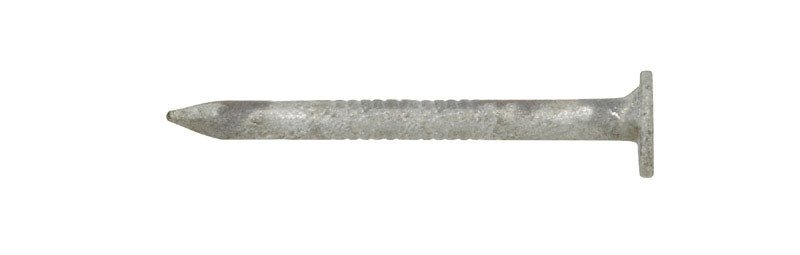 Ace 1-1/4 in. Joist Hanger Hot-Dipped Galvanized Steel Nail Flat Head 5 lb