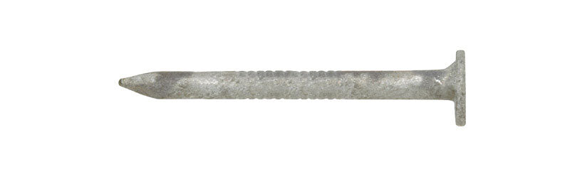 Ace 1-1/2 in. Joist Hanger Hot-Dipped Galvanized Steel Nail Flat Head 5 lb