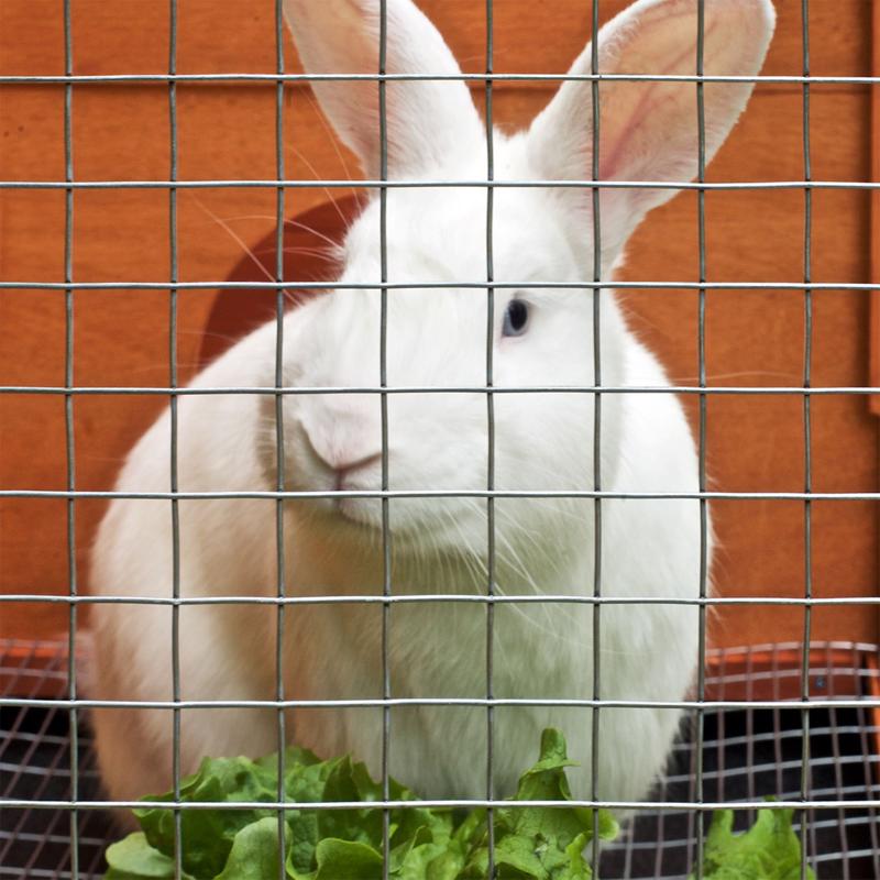 IronRidge 24 in. H X 25 ft. L Galvanized Steel Welded 1 in. X 1 in. in.