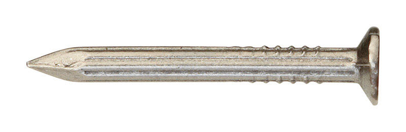 Ace 8D 2-1/2 in. Masonry Bright Steel Nail Flat Head 1 lb