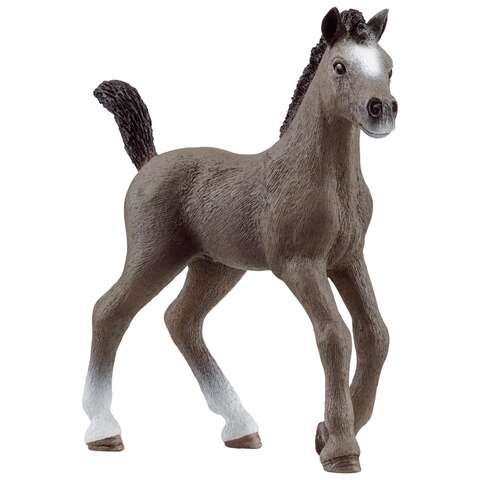 Schleich Cheval de Selle Francais Foal Gray, Pack of 5