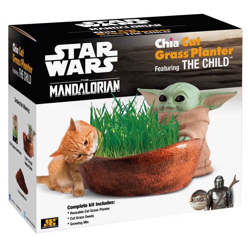 Chia Pet Star Wars Decorative Planter Terracotta Clay 1 pk, Pack of 16