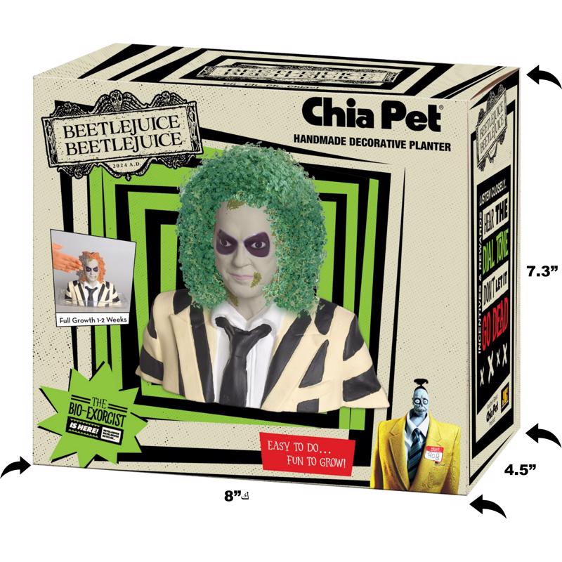 Chia Pet Beetlejuice Decorative Planter Clay 1 pk