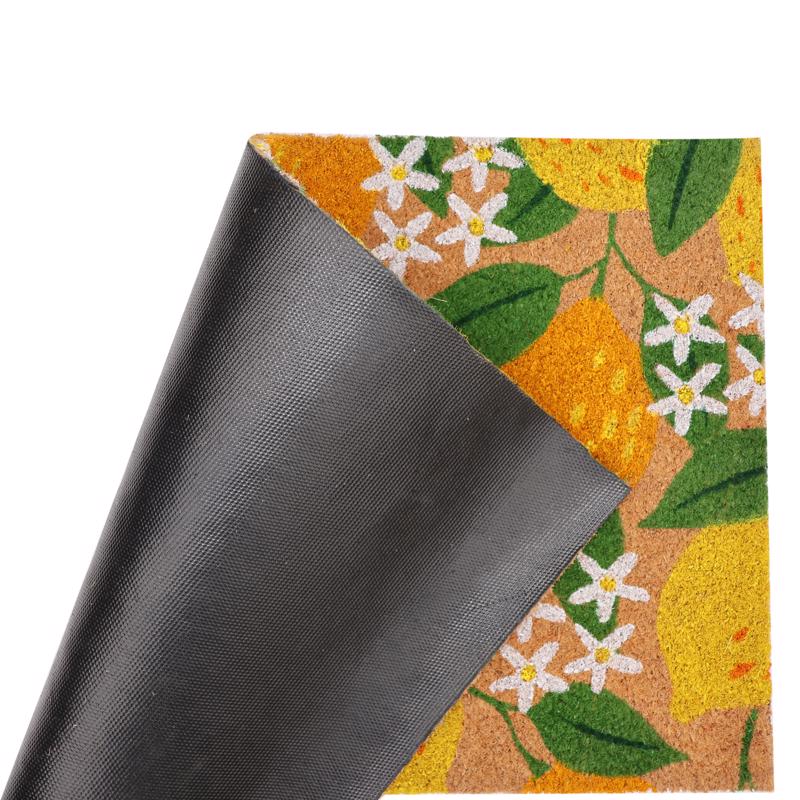 First Concept 18 in. W X 30 in. L Multi-Color Coir Door Mat