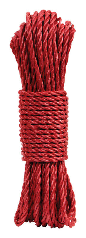 Diamond Visions 0.25 in. D X 72 ft. L Assorted Twisted Poly Rope, Pack of 36