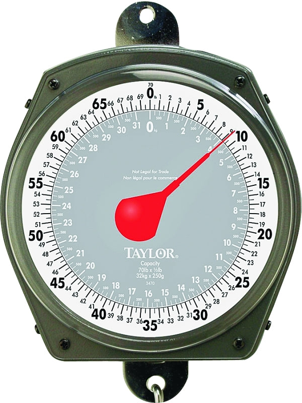 Taylor 3470 Hanging Scale, 70 lb, Analog Display, Steel Housing Material
