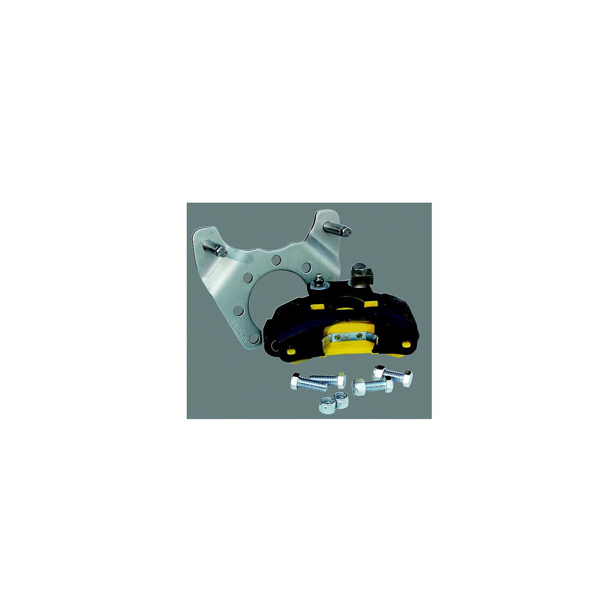 Dexter Stainless Steel 10″ Disc Brakes G4.5 Upgrade Kit