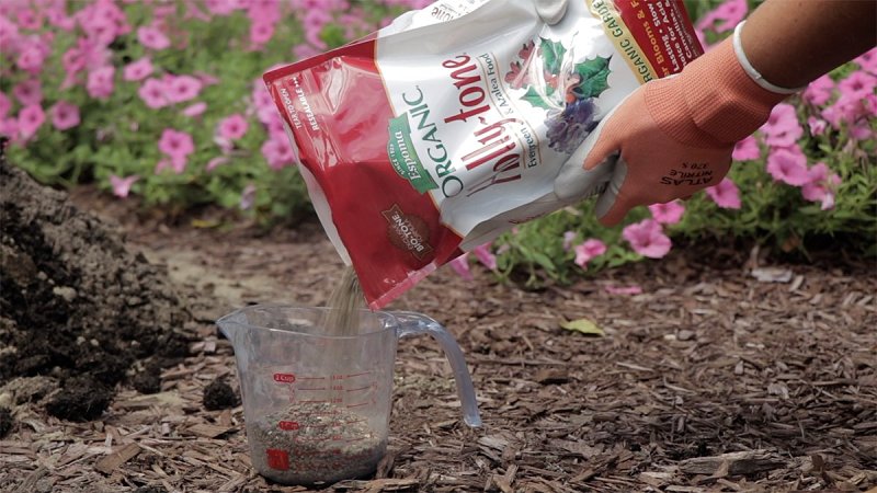 Espoma Holly-tone HT8 Organic Plant Food, 8 lb, Bag, Granular, 4-3-4 N-P-K Ratio