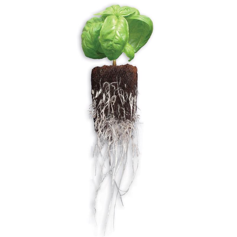 General Hydroponics Rapid Rooter Seed Starting Grow Plugs