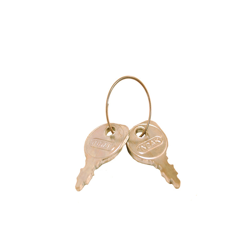 Arnold Lawn Mower/Tractor Ignition Key 2 pk
