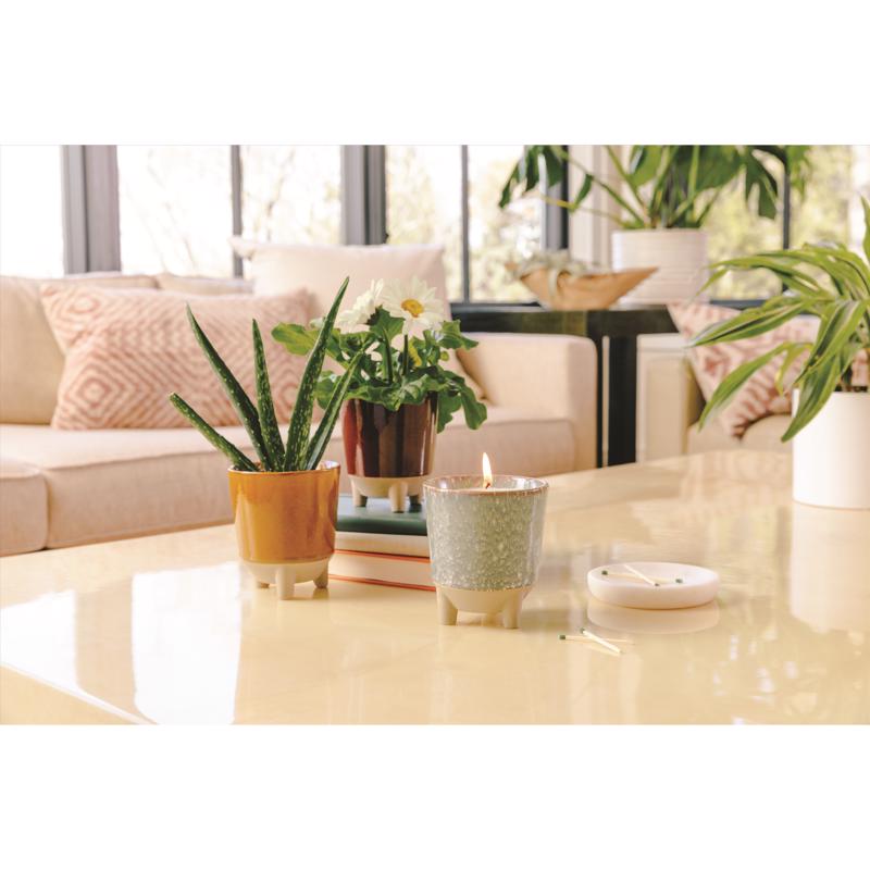 Modern Sprout Glow & Grow Grow Kit 1 pk