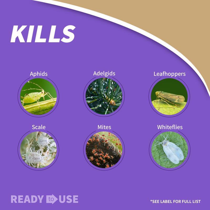 Bonide 112 Insecticidal Soap, Liquid, Spray Application, 8 to 12 oz