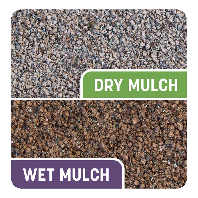 Pennington Smart Patch Mixed Dense Shade Seed/Fertilizer/Mulch Repair Kit 10 lb